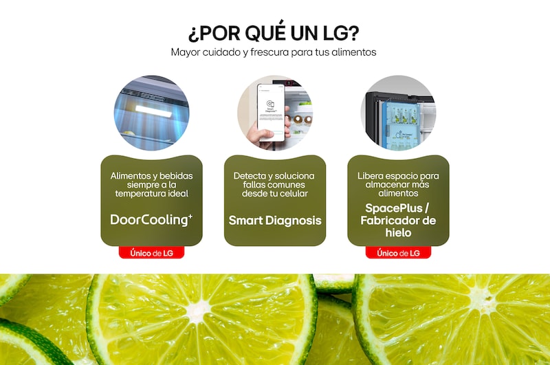 Información Nevecon French Door InstaView Door-In-Door LG GM57SXM